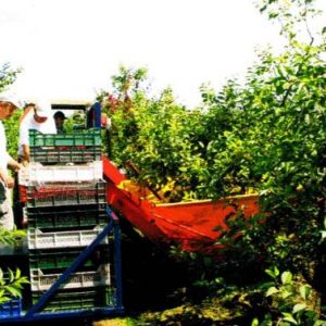 Rázógép, gyűjtőernyős hidraulikus SU