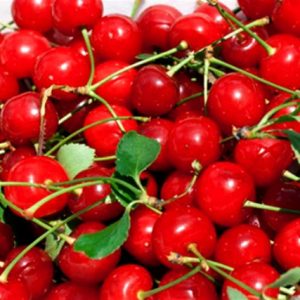 Meggy –cseresznye magozó NUOVATOMAX JORDAN P60