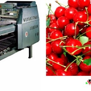 NUOVATOMAX JORDAN P60 és ORION cseresznyemag-kiszedő