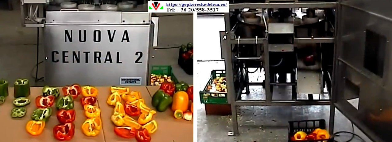 Paprikamag-csuma kiszedő gép NUOVACENTRAL Meccanofrutta